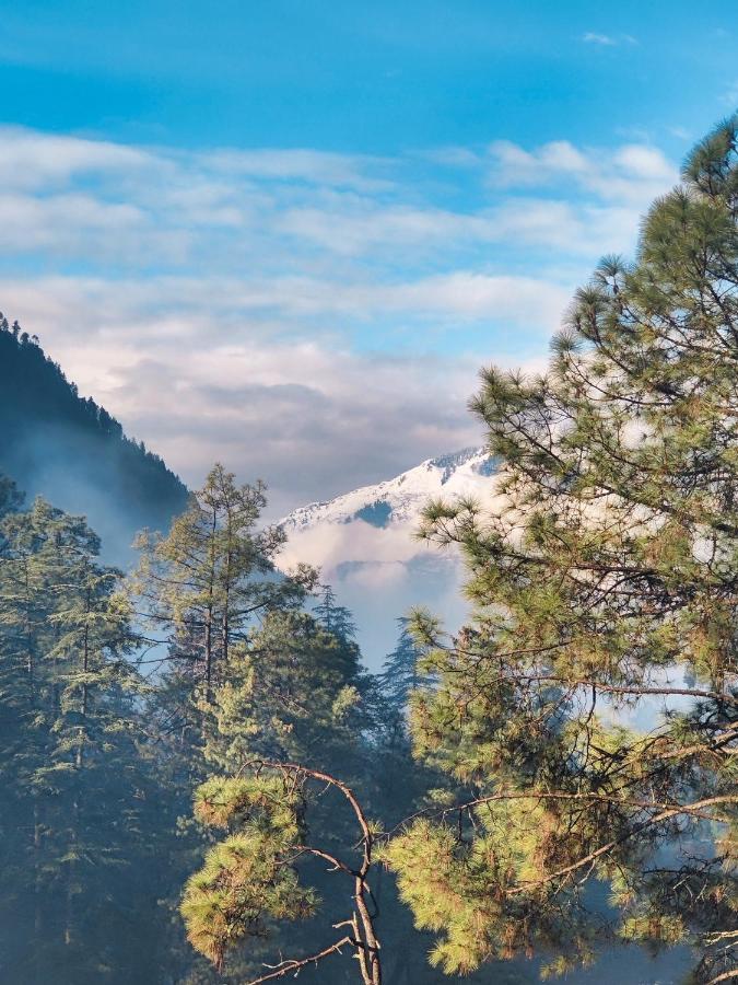 Free Culture, Chalal Kasol Exterior foto